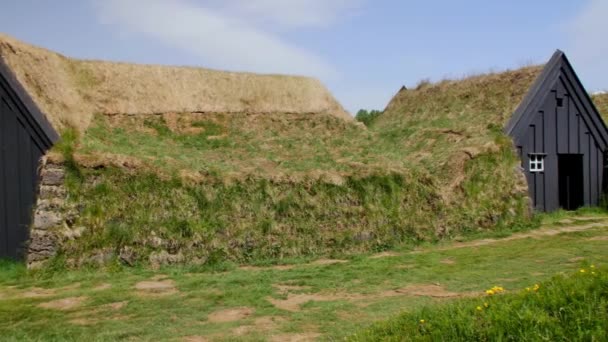 Ovejas Casa Campo Islandia — Vídeos de Stock