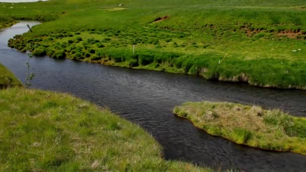 여름에 아이슬란드에서 초원의 — 비디오