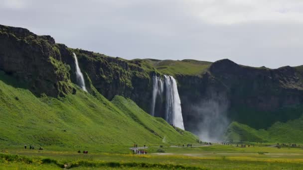 Πιο Διάσημος Καταρράκτης Στην Ισλανδία Majestic Seljalandsfoss Ζεστό Φως Του — Αρχείο Βίντεο