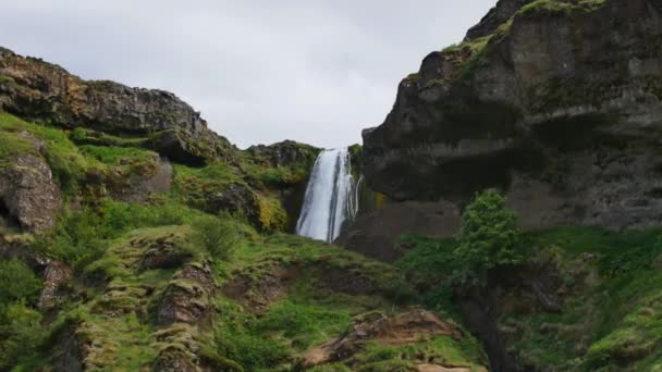 Cascada Más Famosa Islandia Majestuoso Seljalandsfoss Luz Cálida Verano — Vídeos de Stock