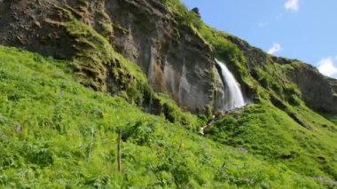 İzlanda 'nın en ünlü şelalesi. Sıcak yaz ışığında görkemli Seljalandsfoss.