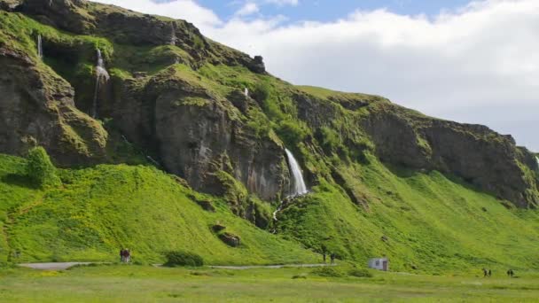 Nejznámější Vodopád Islandu Majestátní Seljalandsfoss Teplém Letním Světle — Stock video