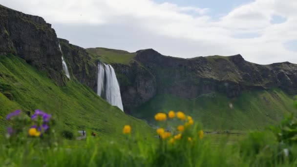 Der Berühmteste Wasserfall Island Majestätischer Seljalandsfoss Warmen Sommerlicht — Stockvideo