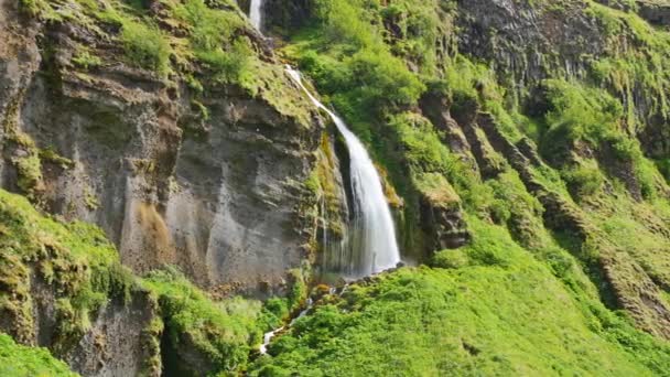 Самый Известный Водопад Исландии Величественный Сельджаландсфосс Теплом Летнем Свете — стоковое видео