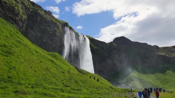 Der Berühmteste Wasserfall Island Majestätischer Seljalandsfoss Warmen Sommerlicht — Stockvideo