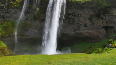 İzlanda 'nın en ünlü şelalesi. Sıcak yaz ışığında görkemli Seljalandsfoss.