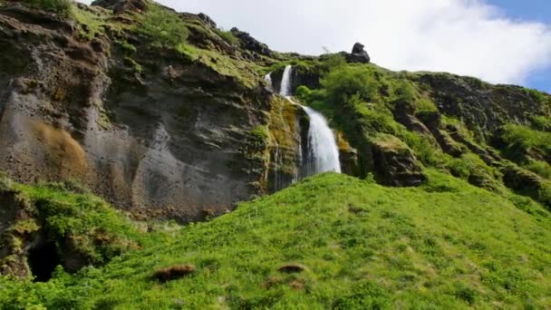 Der Berühmteste Wasserfall Island Majestätischer Seljalandsfoss Warmen Sommerlicht — Stockvideo