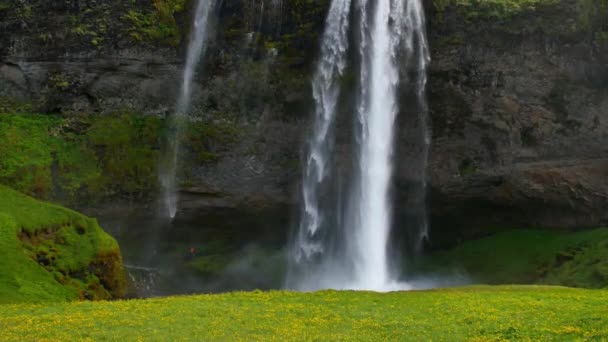 Πιο Διάσημος Καταρράκτης Στην Ισλανδία Majestic Seljalandsfoss Ζεστό Φως Του — Αρχείο Βίντεο