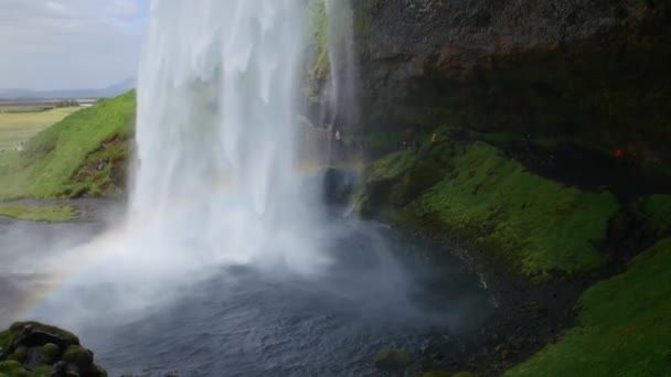 Zlanda Nın Ünlü Şelalesi Sıcak Yaz Işığında Görkemli Seljalandsfoss — Stok video