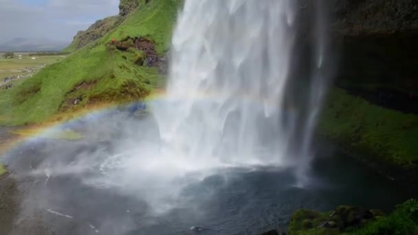 Cascade Célèbre Islande Majestueux Seljalandsfoss Dans Lumière Chaude Été — Video