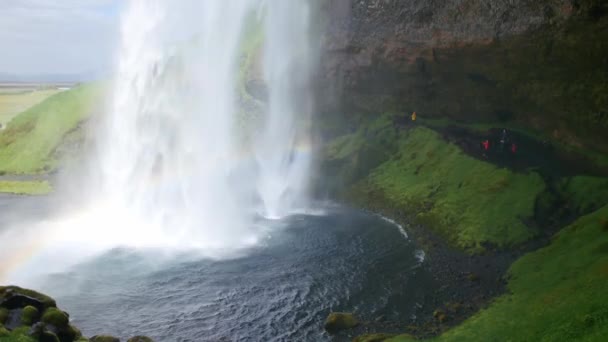Cascada Más Famosa Islandia Majestuoso Seljalandsfoss Luz Cálida Verano — Vídeo de stock