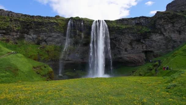 Izland Leghíresebb Vízesése Fenséges Seljalandsfoss Meleg Nyári Fényben — Stock videók