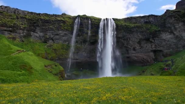 Zlanda Nın Ünlü Şelalesi Sıcak Yaz Işığında Görkemli Seljalandsfoss — Stok video