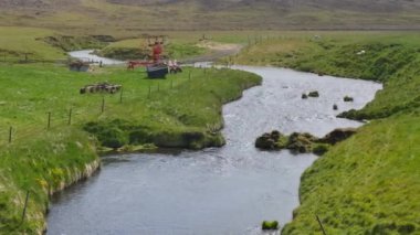 İzlanda 'da yaz. Yeşil çayır üzerindeki nehir.