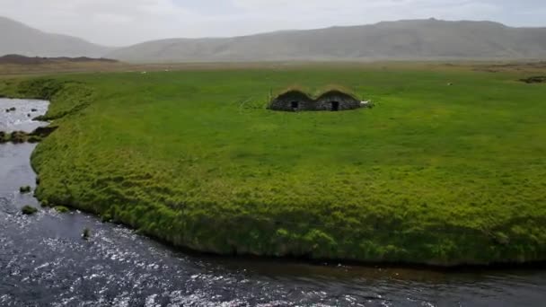 Summer Iceland River Green Meadow — Stock Video