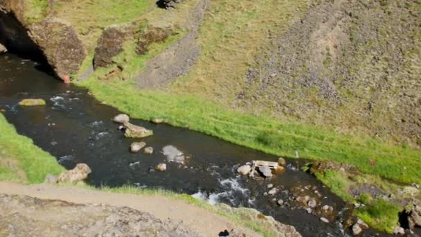 Fluss Der Nähe Von Kvernufoss Island — Stockvideo