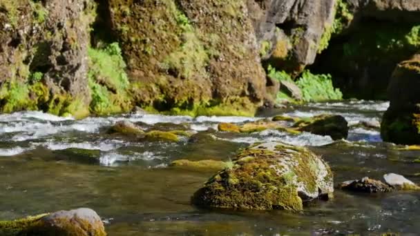 Ποταμός Κοντά Στο Kvernufoss Στην Ισλανδία — Αρχείο Βίντεο