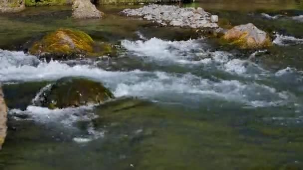 Zlanda Kvernufoss Yakınlarında Bir Nehir — Stok video