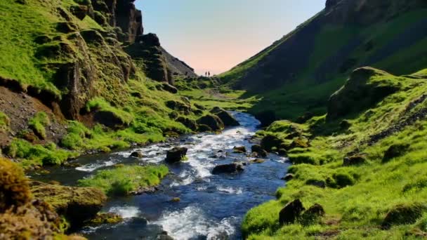 Fluss Der Nähe Von Kvernufoss Island — Stockvideo