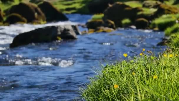 River Kvernufoss Iceland — Stockvideo