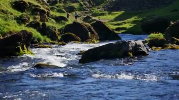 Fluss Der Nähe Von Kvernufoss Island — Stockvideo