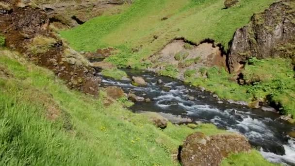 Fluss Der Nähe Von Kvernufoss Island — Stockvideo