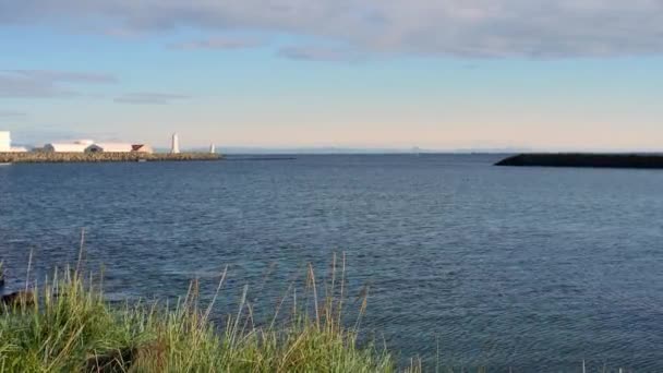 Maják Akranes Západě Slunce Island — Stock video