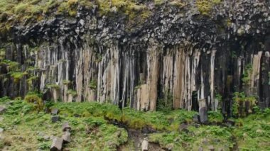 Svartifoss şelale Skaftafell Milli Park, İzlanda.