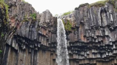 Svartifoss şelale Skaftafell Milli Park, İzlanda.