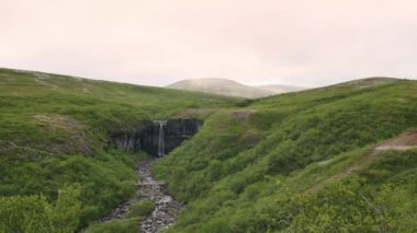 Svartifoss şelale Skaftafell Milli Park, İzlanda.