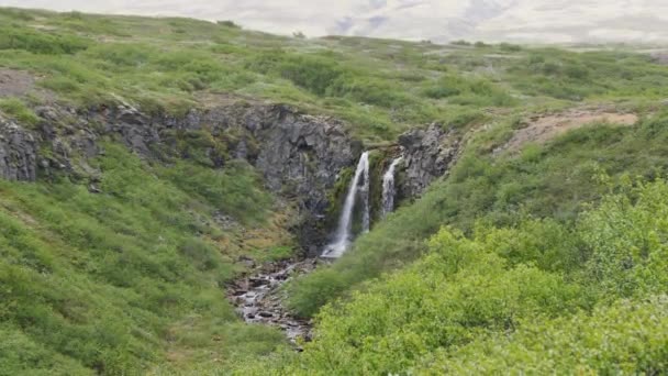 Svartifoss Waterval Het Nationaal Park Skaftafell Ijsland — Stockvideo