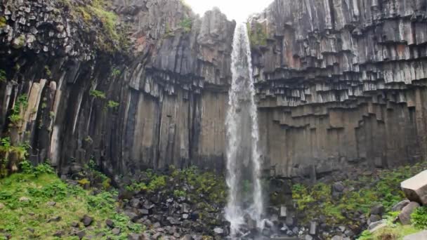 スカフタフェットル国立公園は アイスランドの Svartifoss — ストック動画