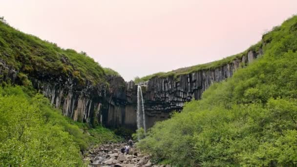 Cascada Svartifoss Parque Nacional Skaftafell Islandia — Vídeo de stock