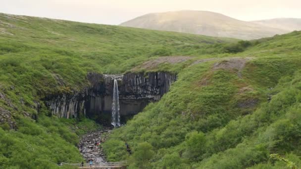 Водопад Свартифосс Национальном Парке Скафтафель Исландия — стоковое видео