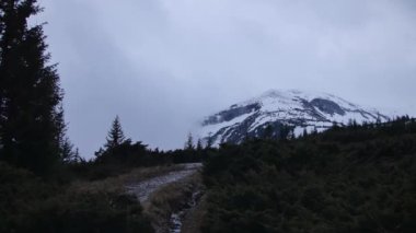 Karpatya Dağları 'nın bulutlu manzarası. Hoverla Dağı.