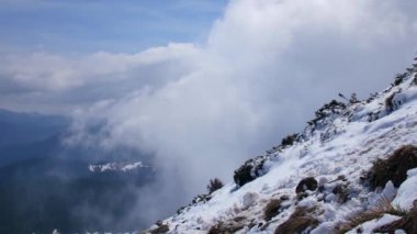 Karpatya Dağları 'nın bulutlu manzarası. Hoverla Dağı.