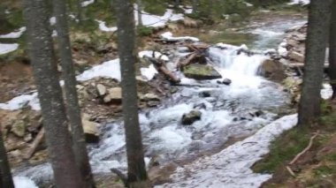 Karpatya Dağları 'ndaki beyaz su nehri.