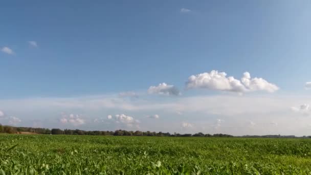 Europees Landschap Wolken Bewegen Lucht Tijd Verstrijkt — Stockvideo