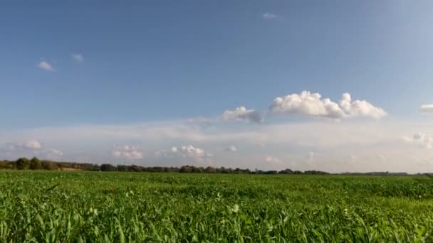 Europeiskt Landskap Moln Rör Sig Skyn Tiden Går — Stockvideo