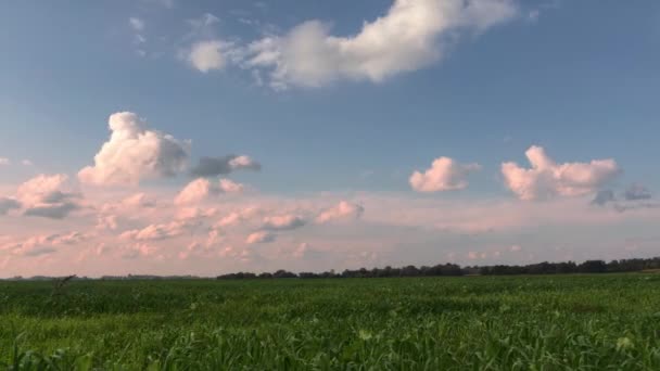 Europäische Landschaft Wolken Die Sich Himmel Bewegen Zeitraffer — Stockvideo