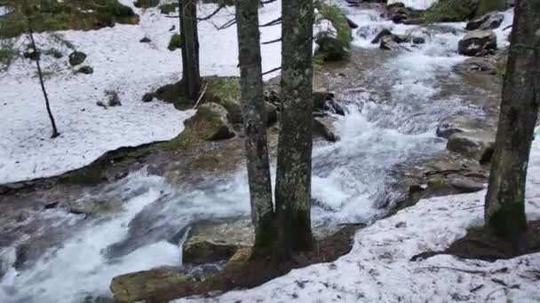 Rio Água Branca Nas Montanhas Carpathia — Vídeo de Stock