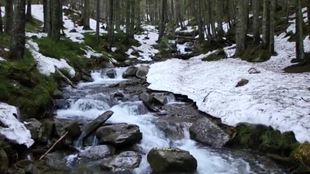 Witte Rivier Het Karpaten Gebergte — Stockvideo