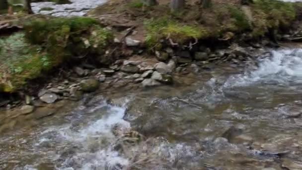 Karpatya Dağları Ndaki Beyaz Nehri — Stok video