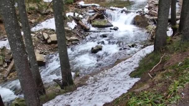 Vit Vattenflod Karpatiska Bergen — Stockvideo