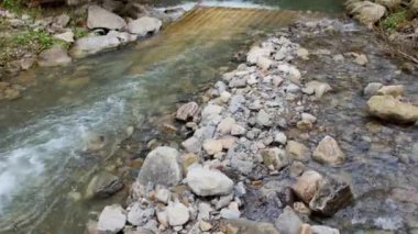Karpatya Dağları 'ndaki beyaz su nehri.