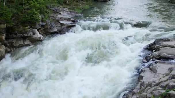 Wasserfall Probiy Den Karpaten — Stockvideo