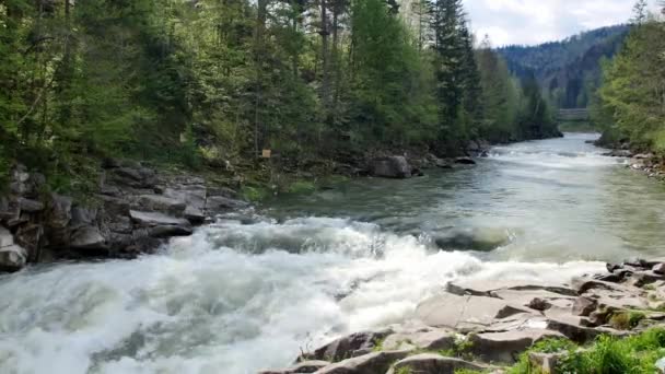 Probiy Cachoeira Montanhas Carpathia — Vídeo de Stock