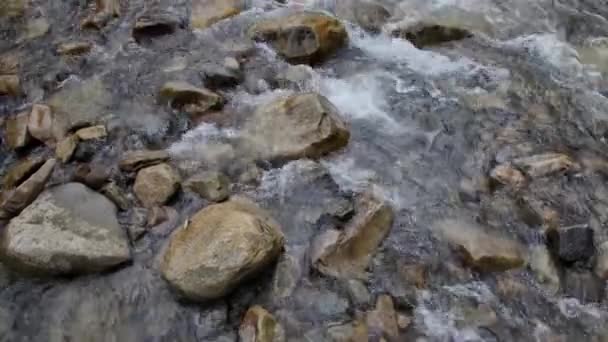 Rio Água Branca Nas Montanhas Carpathia — Vídeo de Stock