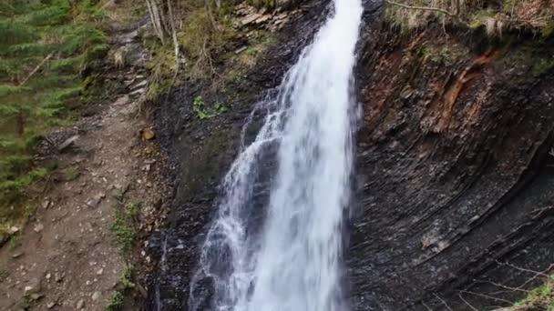 Vilda Flodkaskaden Carpathia Mountains — Stockvideo