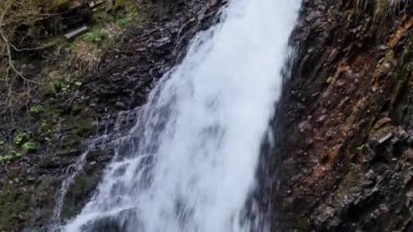 Carpathia Dağları 'nda vahşi nehir çağlayanı.